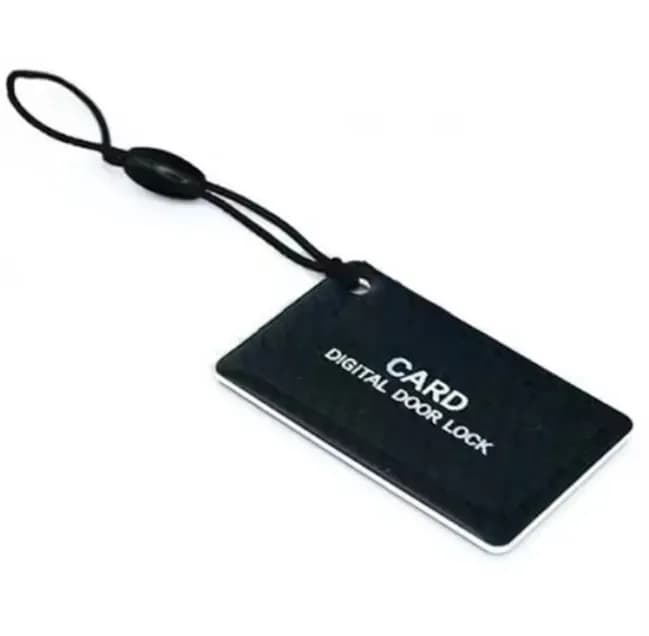 RFID 1K Key Fob Epoxy PVC